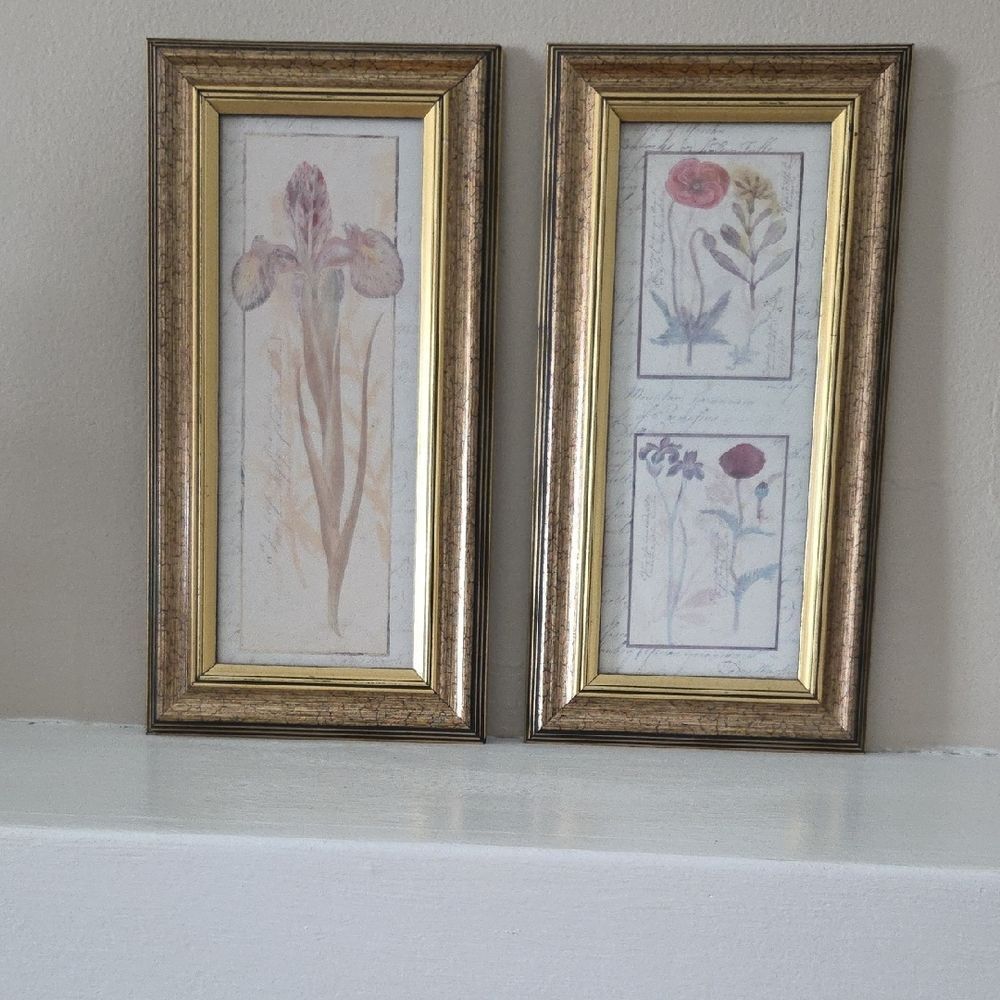 Floral Botanical Wall Art Pair in Gold Frames